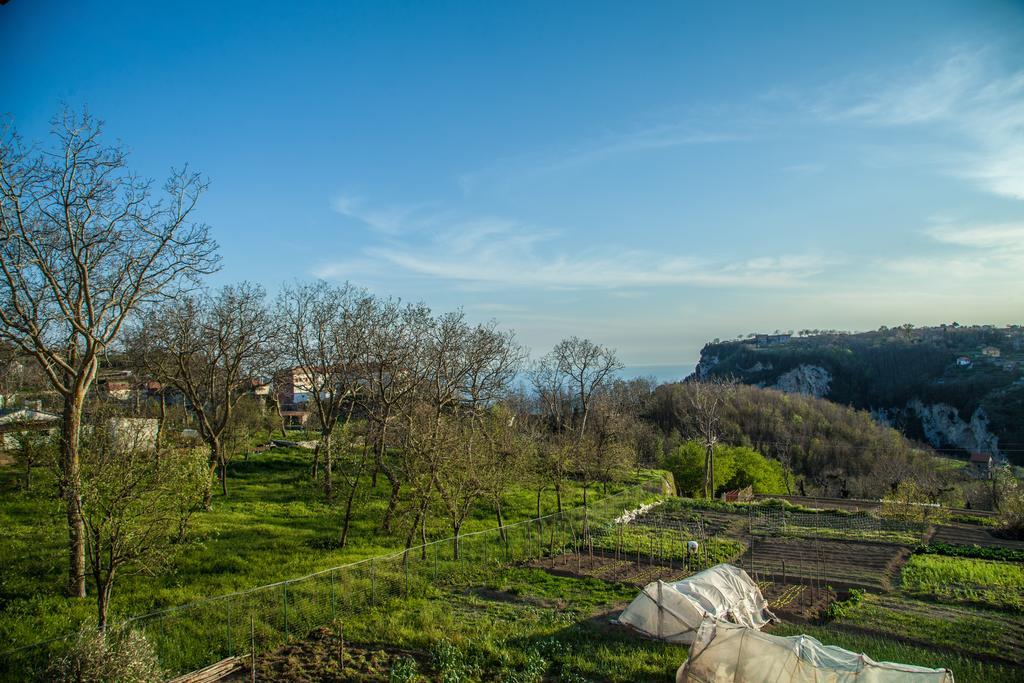 Hotel Da Zia Adele Agerola Pokoj fotografie